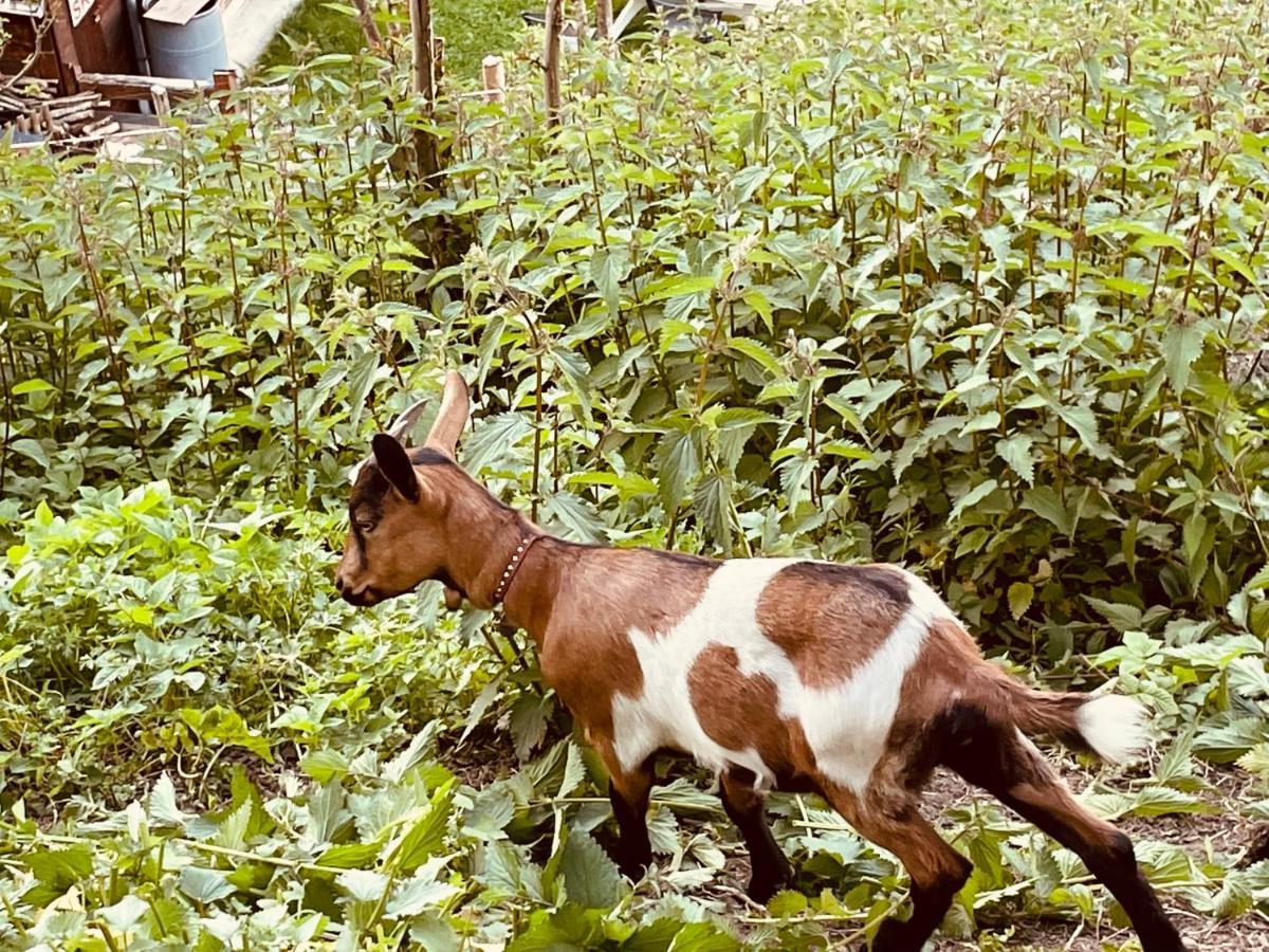 Le Blanc Nordique Villa Le Bouchet-Mont Charvin Ngoại thất bức ảnh